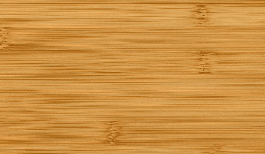 foto2.png
