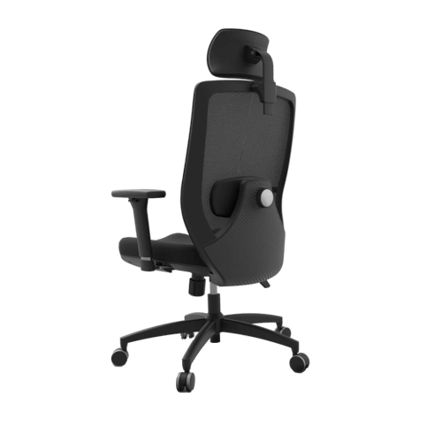 foto18.png
